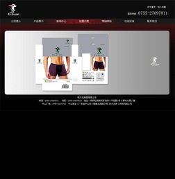 龍華觀湖順鼎宏電子公司網站建設案例