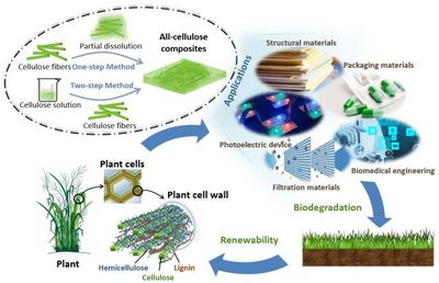 論文推薦丨基于&ldquo;自增強&rdquo;作用的全纖維素復合材料