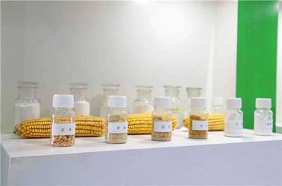 【大國(guó)小鮮@新發(fā)展理念】濮陽(yáng)市南樂(lè)縣:發(fā)展生物基材料產(chǎn)業(yè) 助力生態(tài)文明建設(shè)