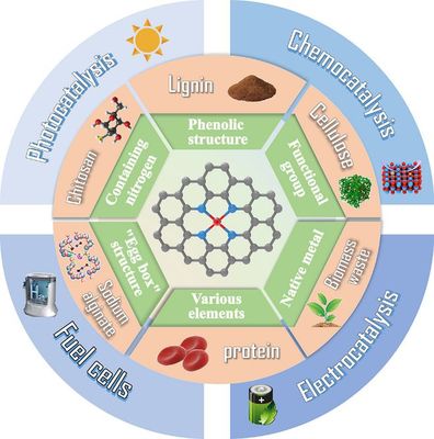 天津科技大學(xué)司傳領(lǐng)、王冠華等Adv. Colloid Interfac.綜述: 生物質(zhì)衍生碳基單原子催化劑的制備及應(yīng)用