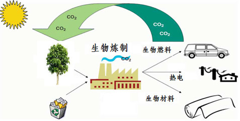 美麗化工-生物煉制--解決資源和環境問題的金鑰匙