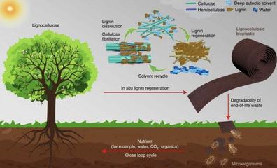 取于自然用于發(fā)展 生物基材料引領(lǐng)未來(lái)市場(chǎng)新趨勢(shì)